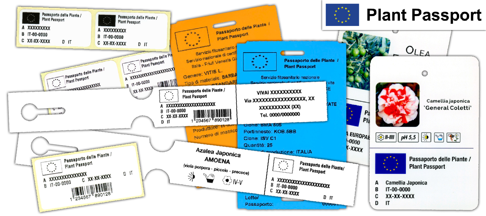 Passaporto-delle-piante